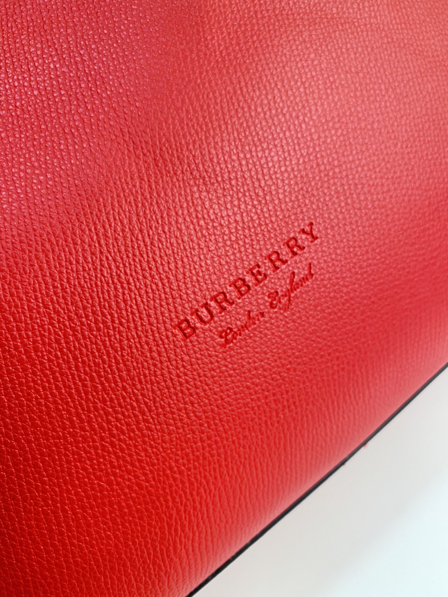 Burberry Shopping Bags